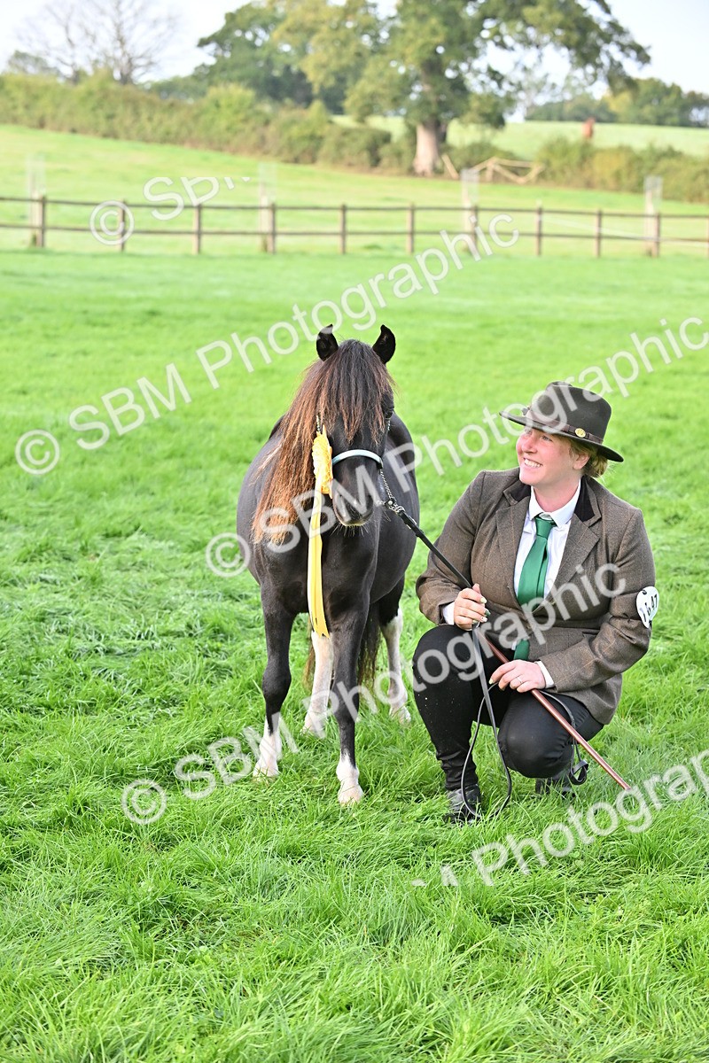 SBM_55393 - S44 - Youngstock In Hand