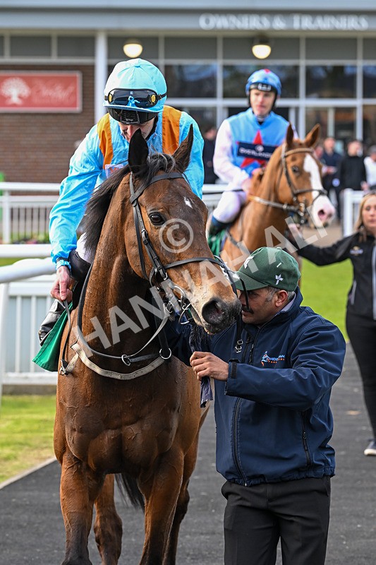 200424-Race 5-Cold Stare-7016 - Race 5