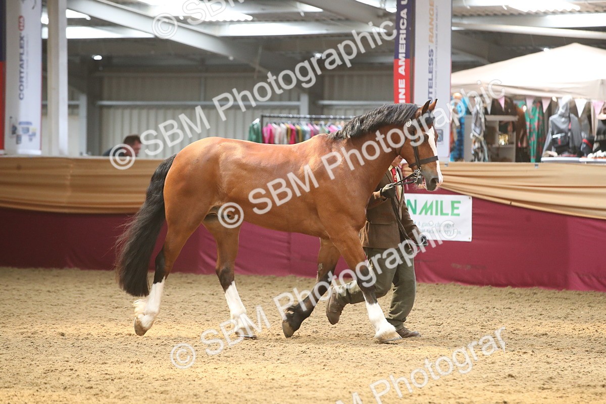 SBM_05615 - Class 9R - Regional IH Pre-Vet