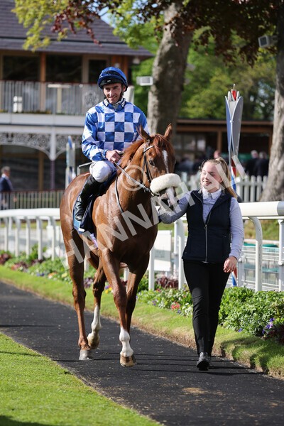 yr11052022r7-29 - Race 7 5.15pm British Stallion Studs EBF Novice Stakes