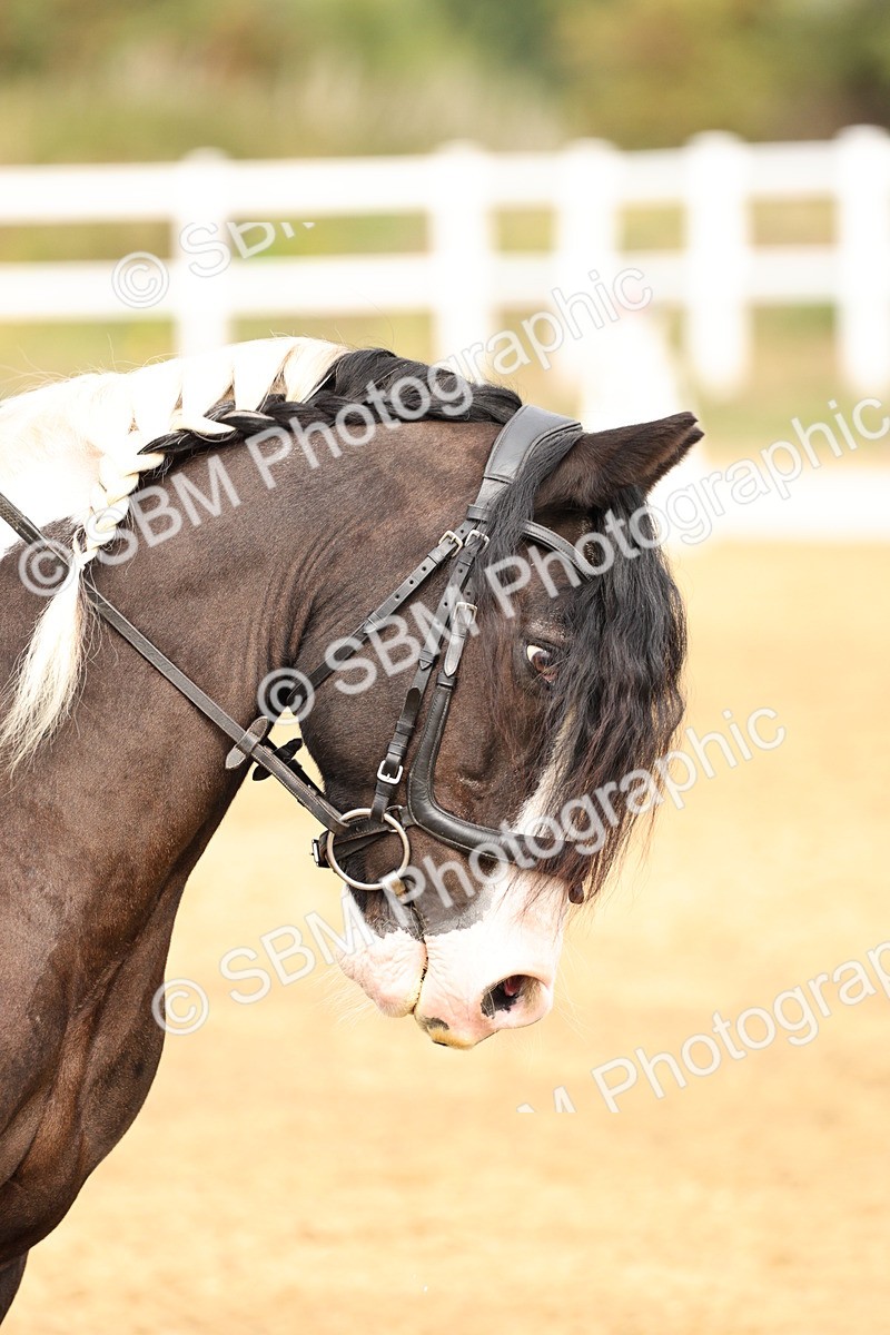 SBM_012351 - Class 2 - Prelim 5