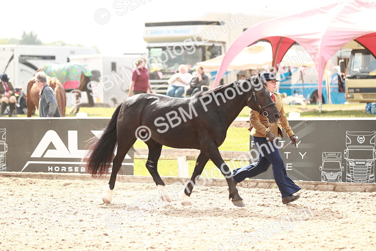 SBM_12428 - Class 207 IH M&M