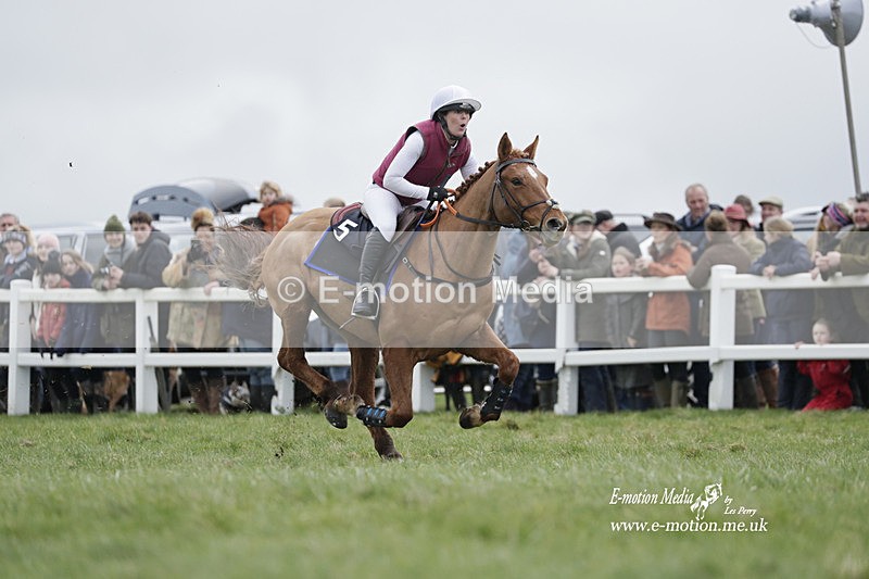 PtP 260323 0267 - New Forest Hounds Point-to-Point Larkhill 26/03/23