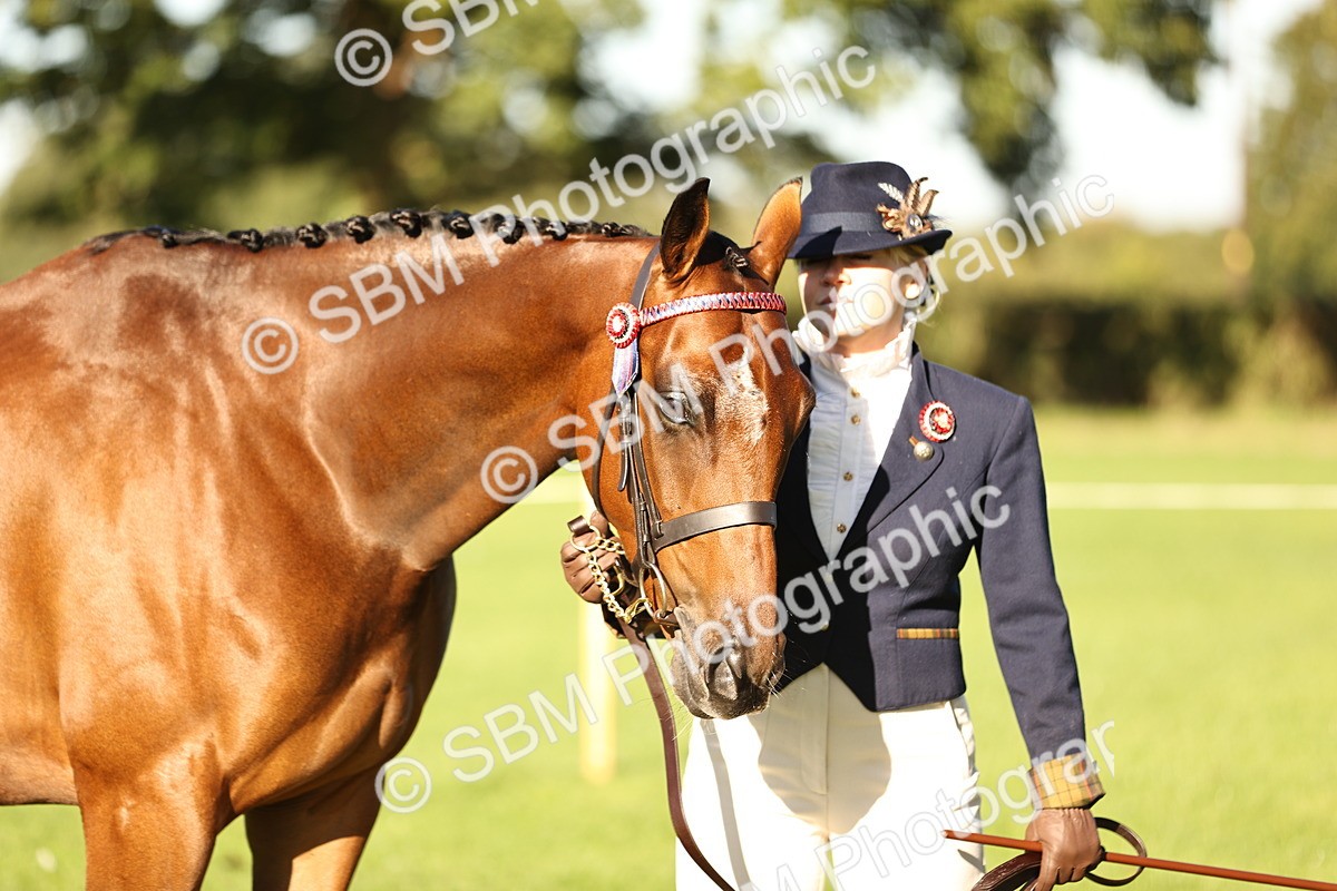 SBM_15723 - S1 - TSR in Hand Horse & Pony Showing