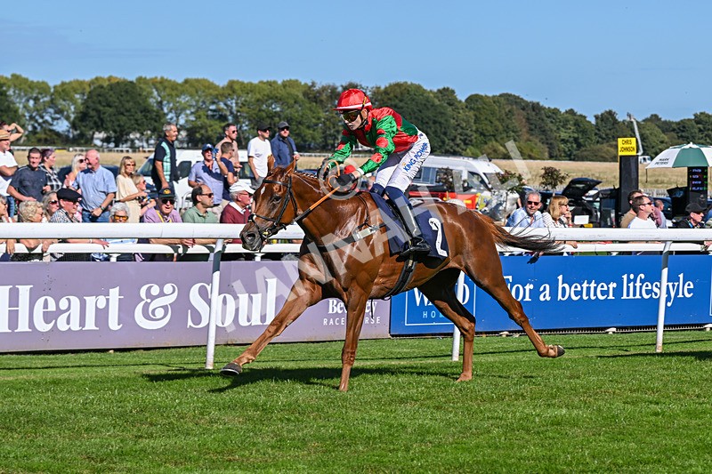 220926-Race 1-Snooker McCrew-2804 - Race 1 1.30pm Churchill Tyres Apprentice Handicap