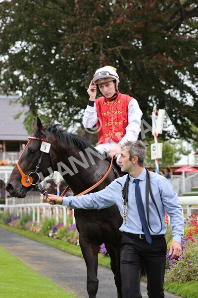 yr24092021r2-39 - Race 2 2.05pm William Hill Extra Places Races Stakes