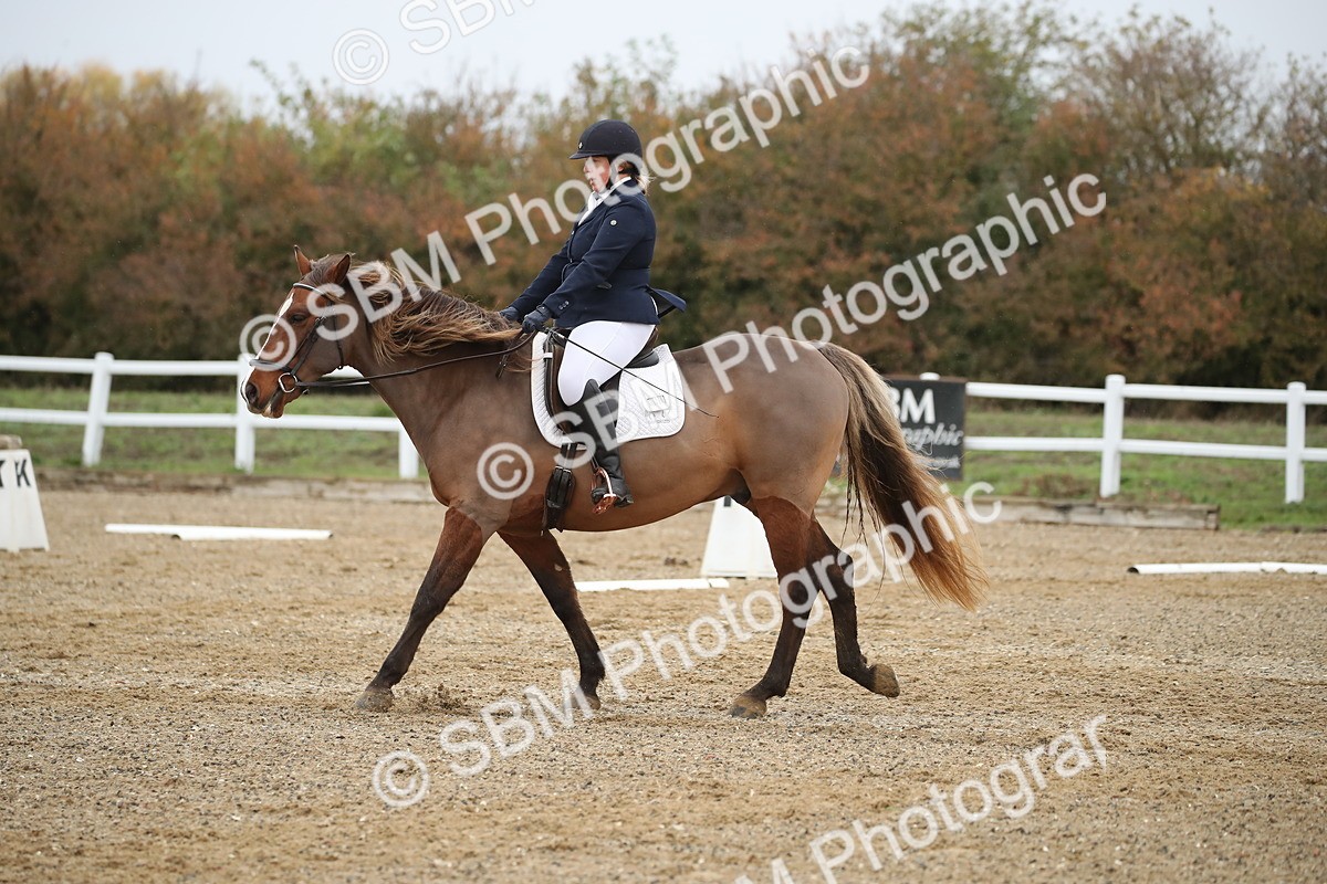 SBM_000494 - Intro 2