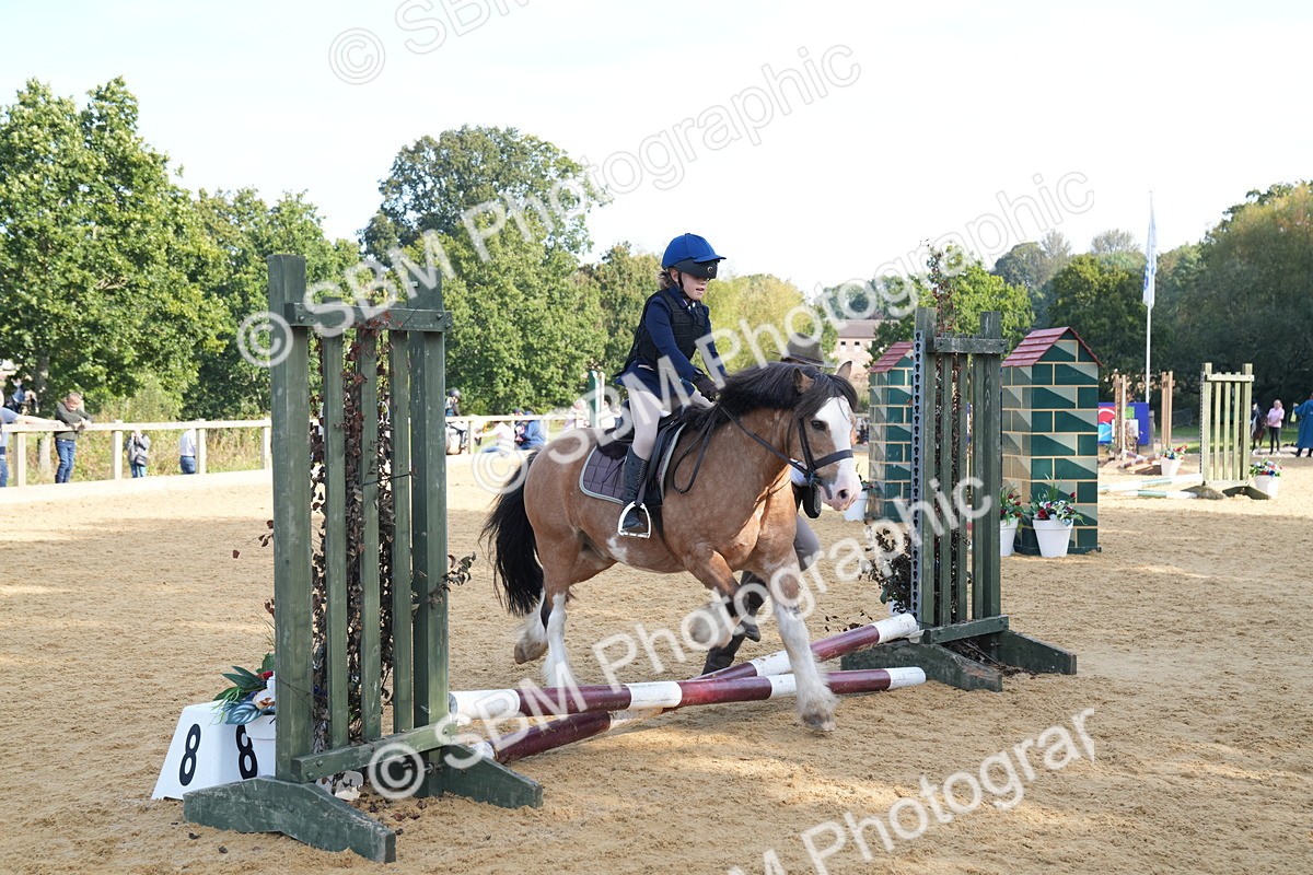 SBM_61330 - J1 - Mini Tour Junior Pony Lead Rein 30cm Championship