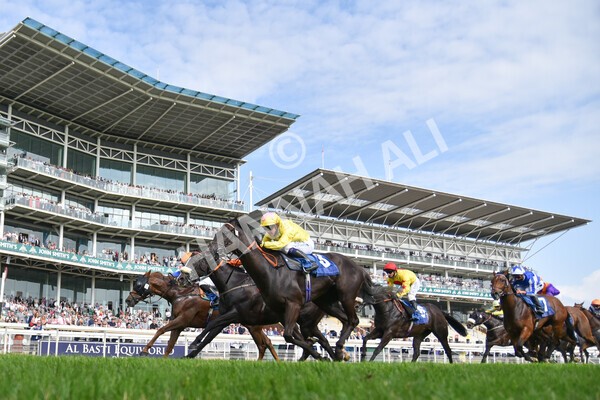 yr10072021r7-18 - Race 7: 5.15pm John Smith's Stakes