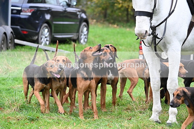 WJ7_7445 - The Meet