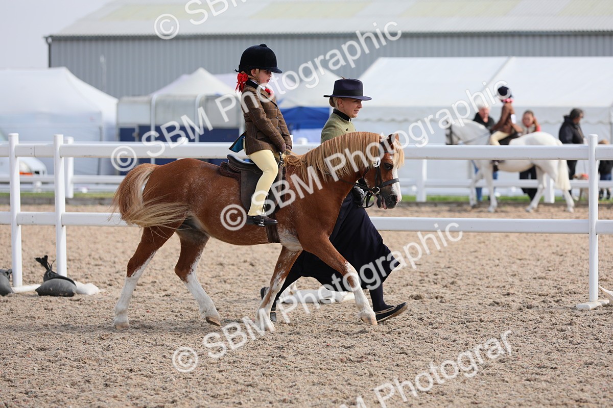 SBM_13987 - Class 309 Lead Rein Pony