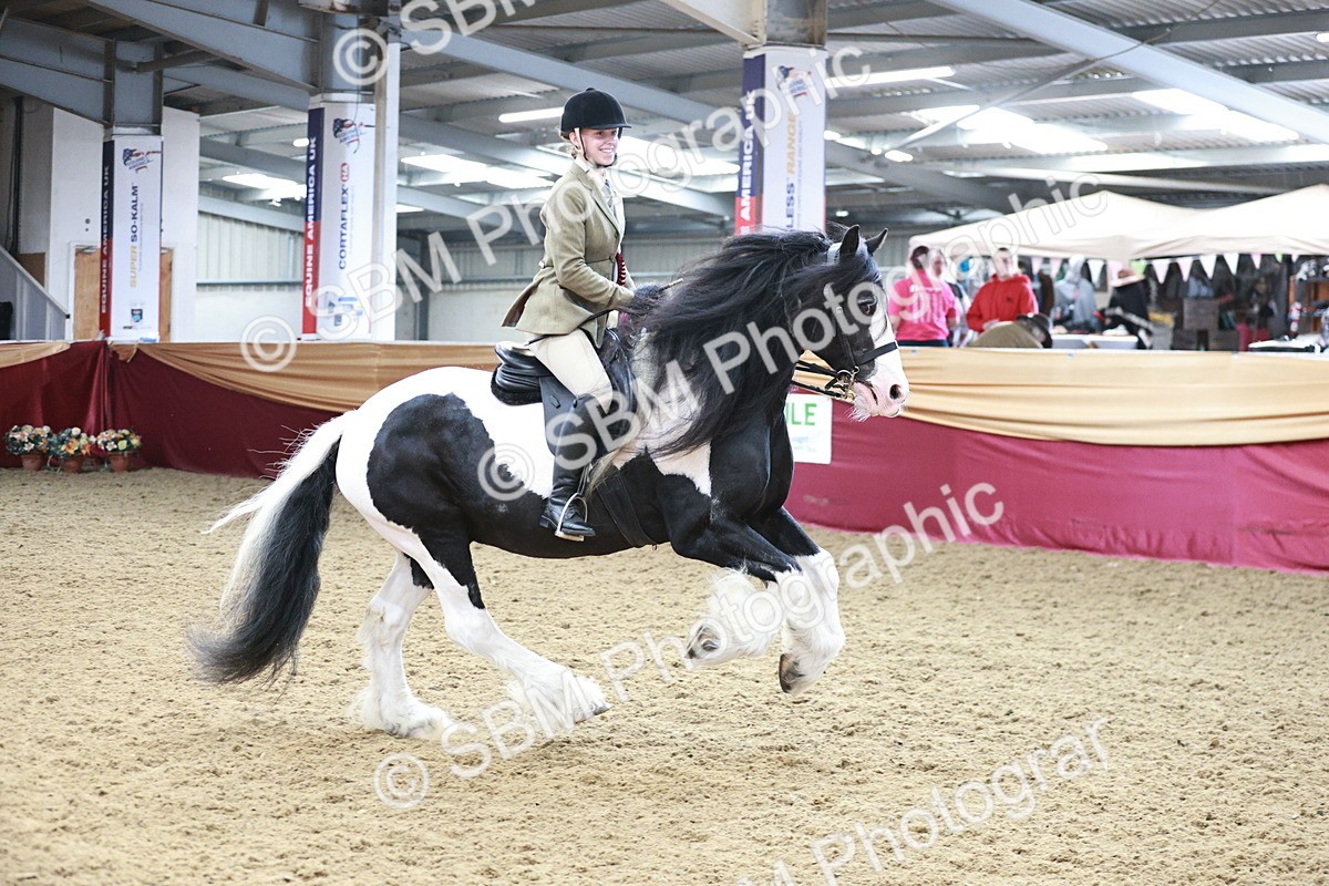 SBM_09155 - Class 12R - Regional Ridden Pre-Vet