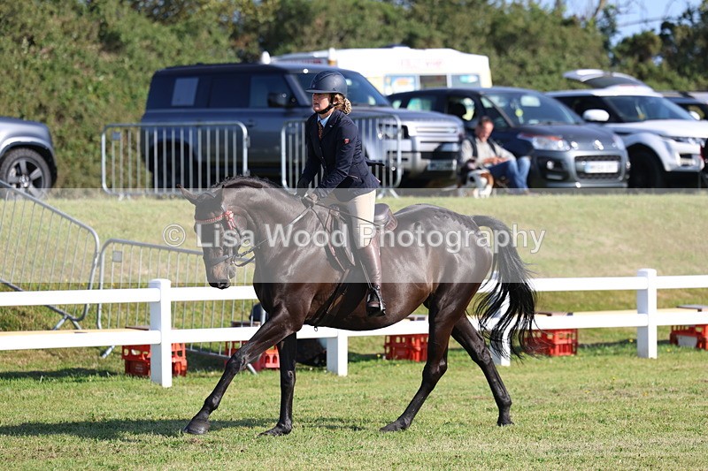 3E7A5395 - Class 2: Rising Star Large Hack/Riding Horse