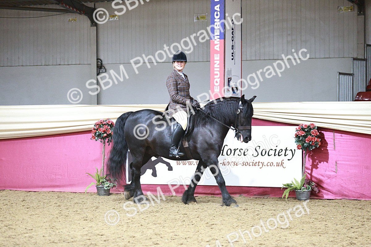 SBM_08727 - Class 12R - Regional Ridden Pre-Vet