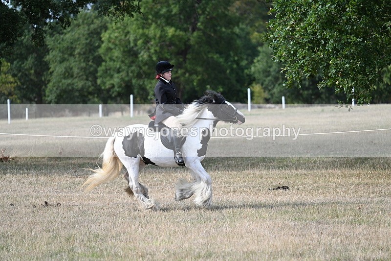 WJ7_7683 - Ridden Championship