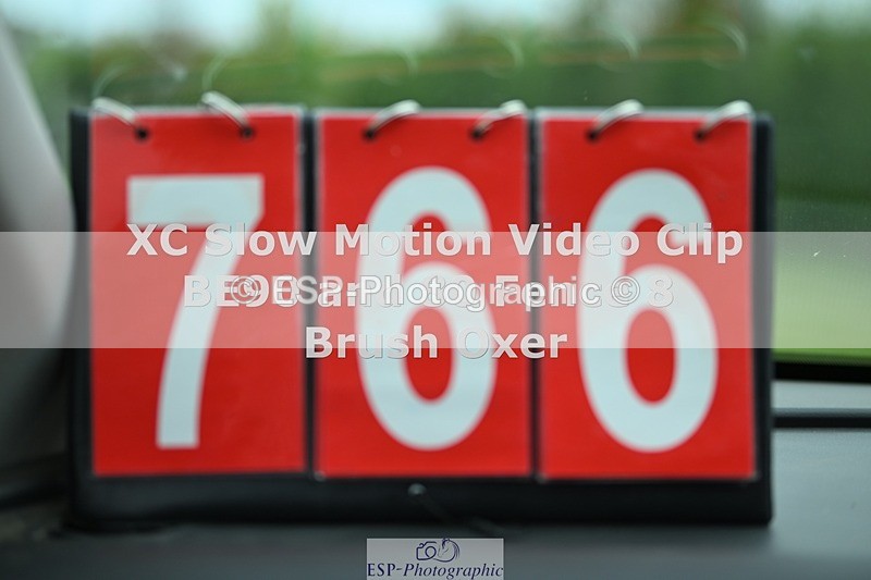 250419-152027-12197 - 766-Poppy.Hillyard-CHICA.DE.ORO