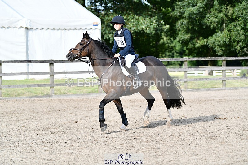240825X-170827-36973 - 80cm SJ 16.00 to 17.26