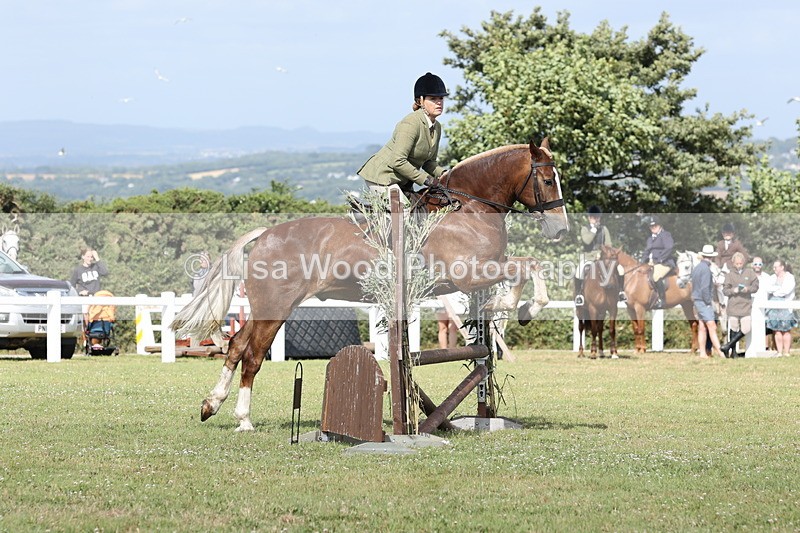 JPP_2519 - Class 20: Working Hunter 70cm