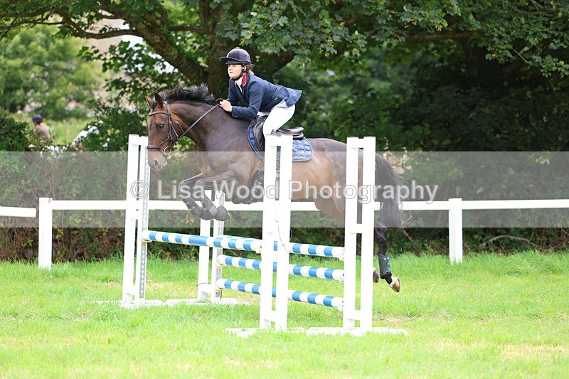 3E7A7163 - Class 5: Senior British Novice/90cm open