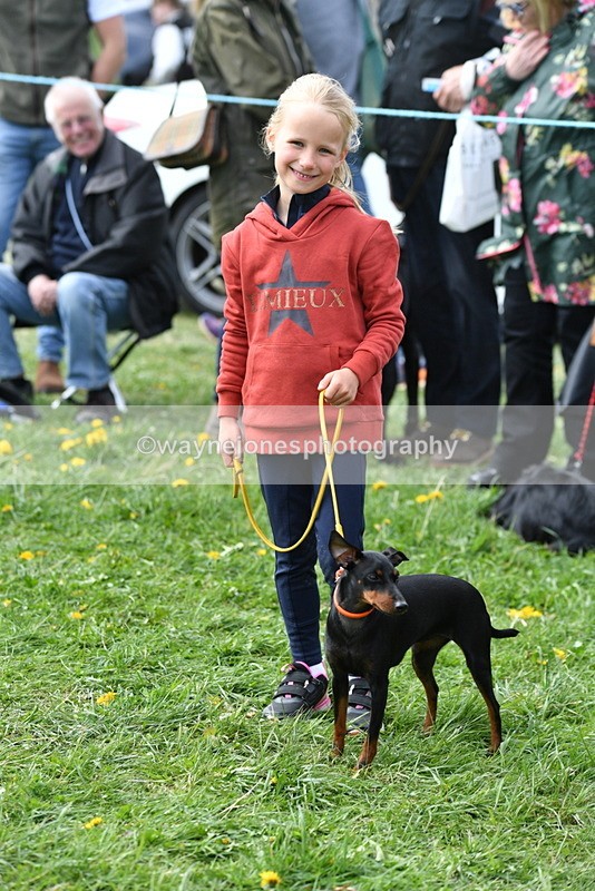 WJ5_0564 - Class 7 Best Terrier