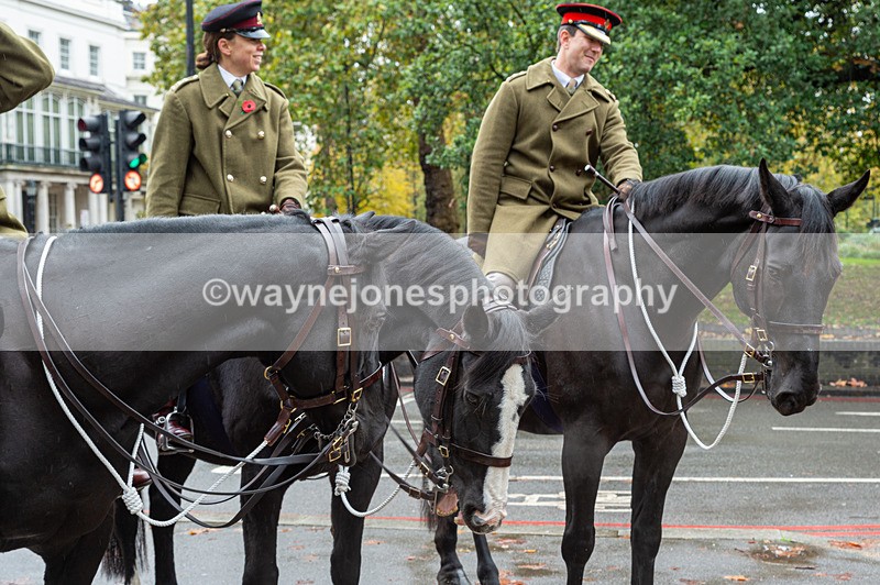 NGP_7075 - Animals In War Memorial - 10-11-23