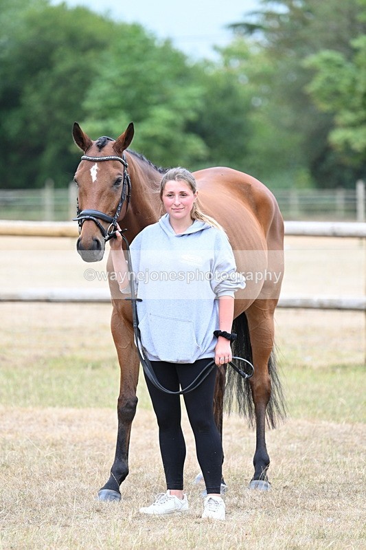 WJ7_9868 - Class 5a Most Handsome Gelding (above 14.2hh)