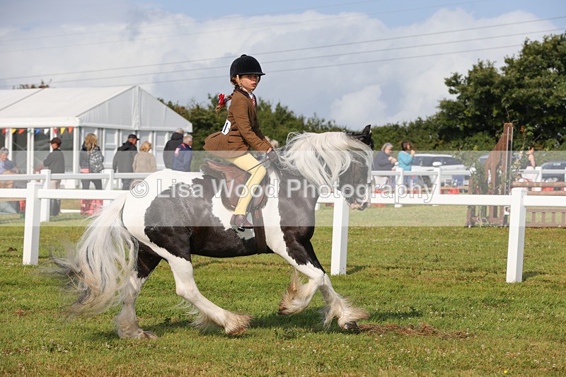 1X9A3254 - Class 28: Ridden Native/Trad Coloured Pony