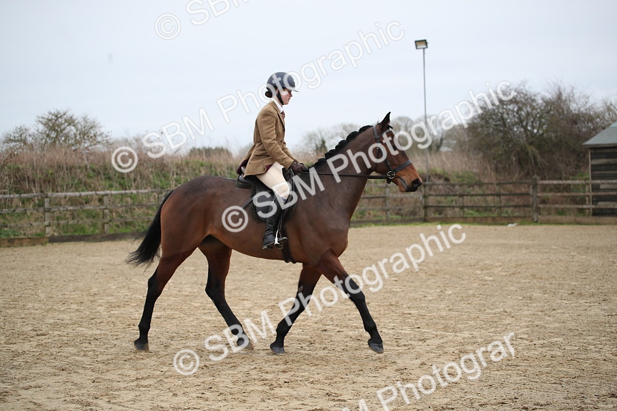 SBM_004748 - Class 5-9 - NPS In Hand-Show Hunter-Intermediate Ridden Inc Ridden Championship