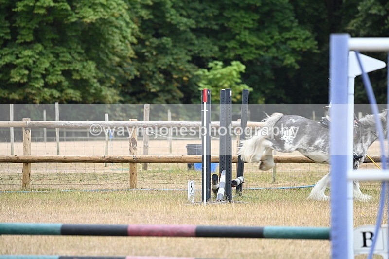 WJ6_9719 - Class 12 Minimus Jumping 45cm