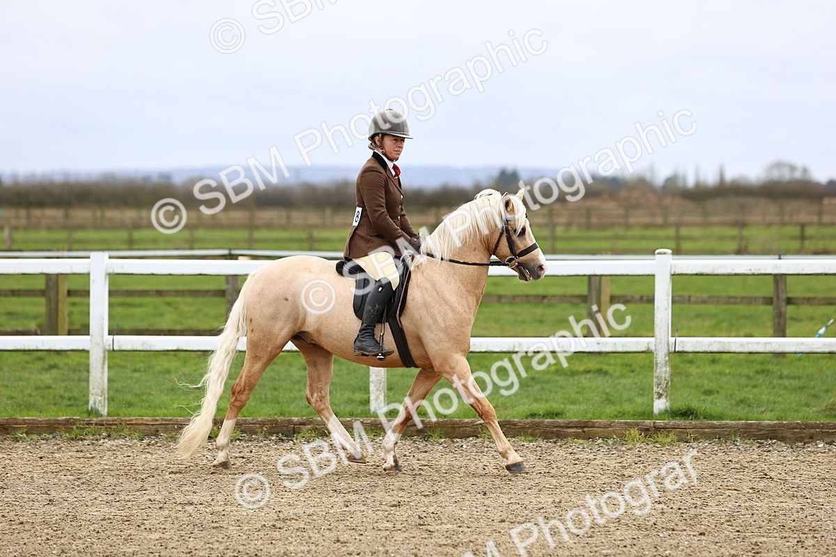 SBM_006773 - Class 29 - 30 - M&M Pure Novice Small-Large Breeds