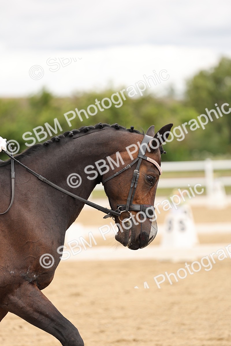 SBM_002586 - Class 6a - Novice 5 - 11.53-14.27