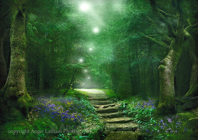 Spirit of the Woods - Enchanted Places