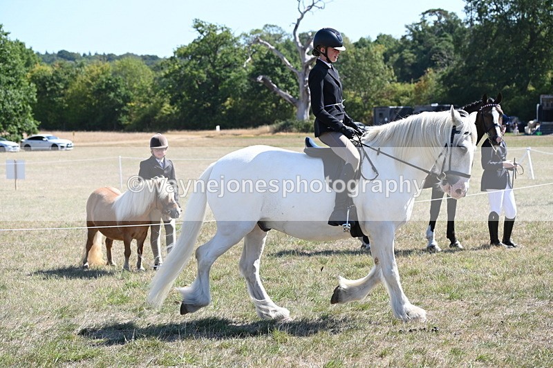 WJ6_8273 - Class 37a Best Loan Pony Ridden