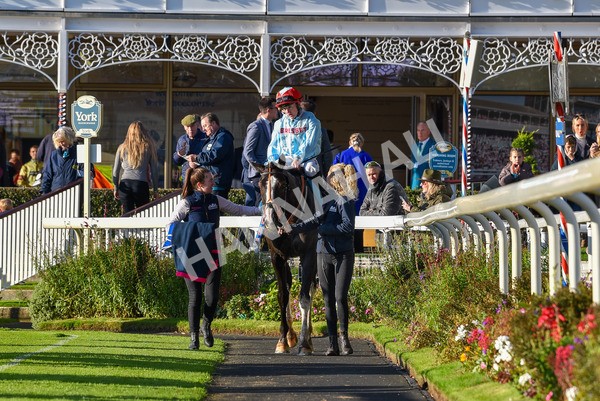 141023-Race 6-Punctuation-1528 - Race 6 4.10pm Coral Get Closer To The Action Handicap