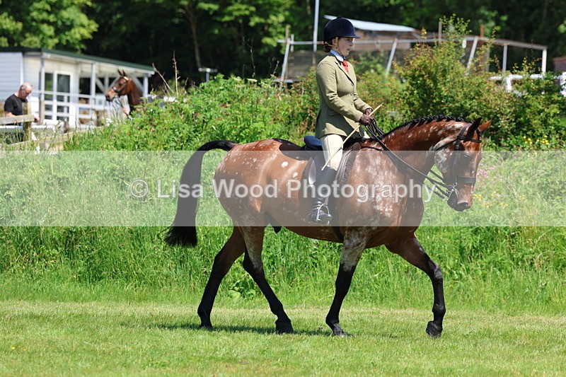 3E7A8216 - Class 13: Ridden Hunter