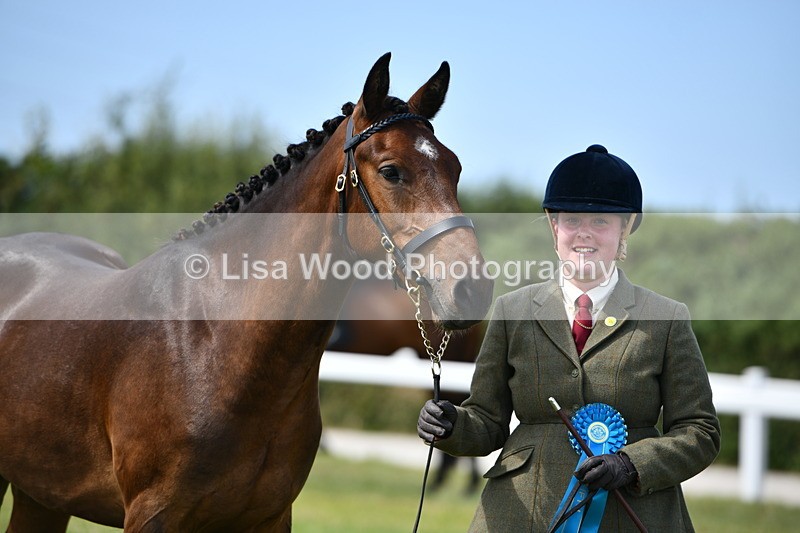 DSC_8418 - Class 68: Part Bred In Hand M & M