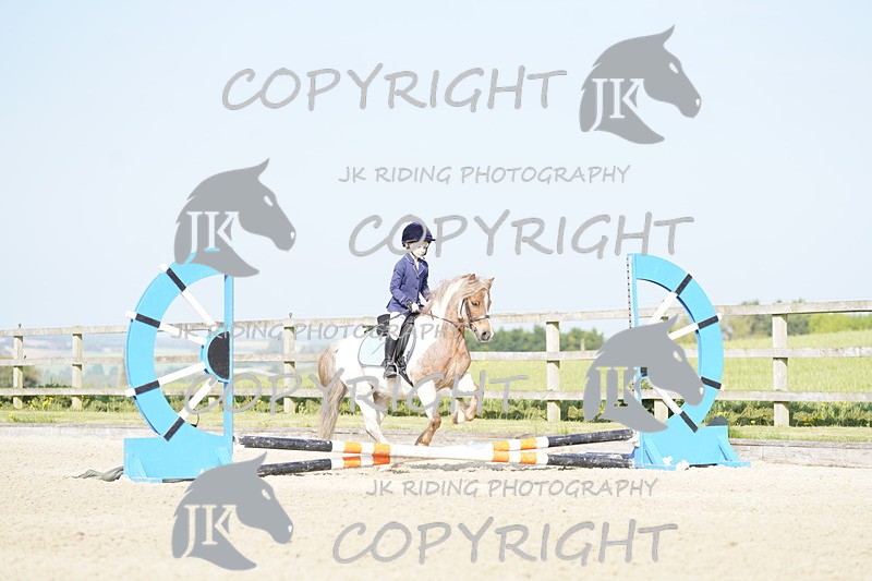 _DSC6327 - USJL Oakingham Stud 27.04.25