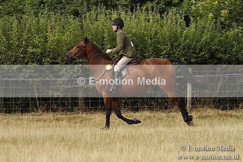 _BS_0541 - BVRC Show 2018 Ring 3