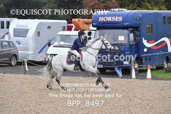 BPP_8497 - CLASS 3 Pony BritiNovice / 0.80m Open