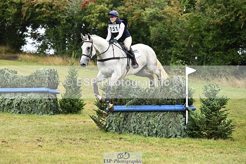 TS_b2451968 - SAT BE 90 Recovered Files fence 8