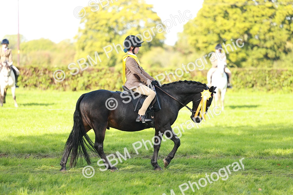 SBM_37083 - S11 - Best Ridden Horse & Pony