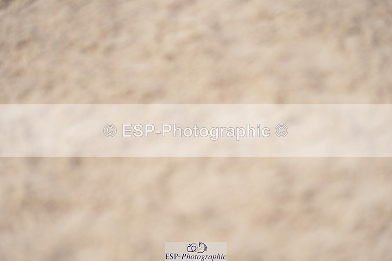 230924A-142736-06450 - 90 SJ 14.00 to End