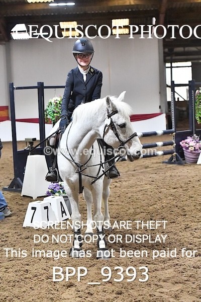 BPP_9393 - CLASS 10 Pony BritiNovice / 0.80m Open