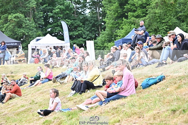 250524A-160858-13209 - Demo Arena Crowds