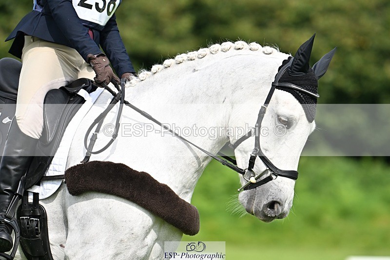 230826-102513-16501 - Sections A & B 10 to End