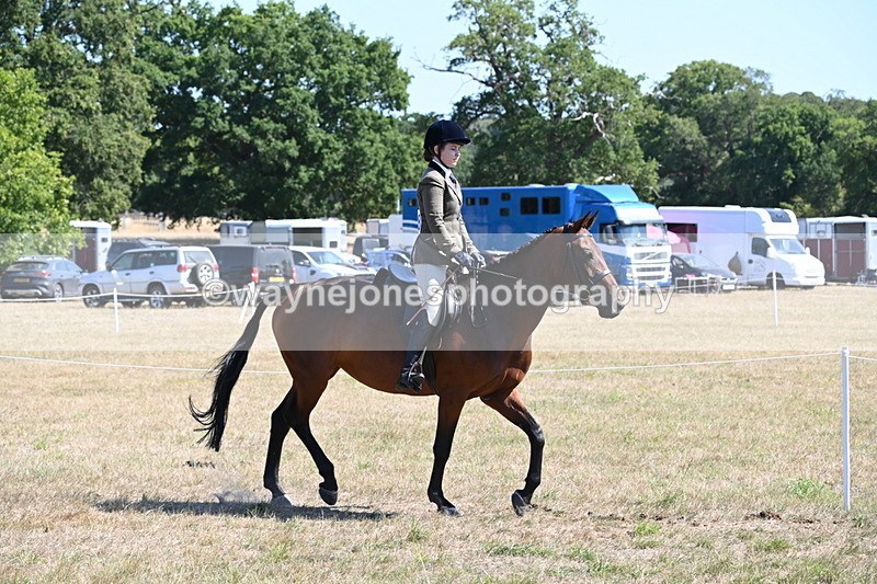 WJ6_8357 - Class 37a Best Loan Pony Ridden