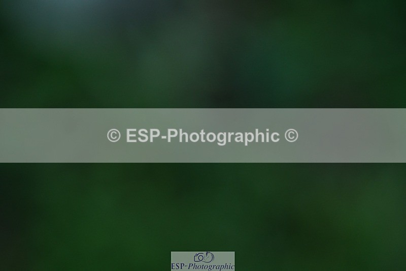 231110-112021-01210 - Cls 5 Elementary 43