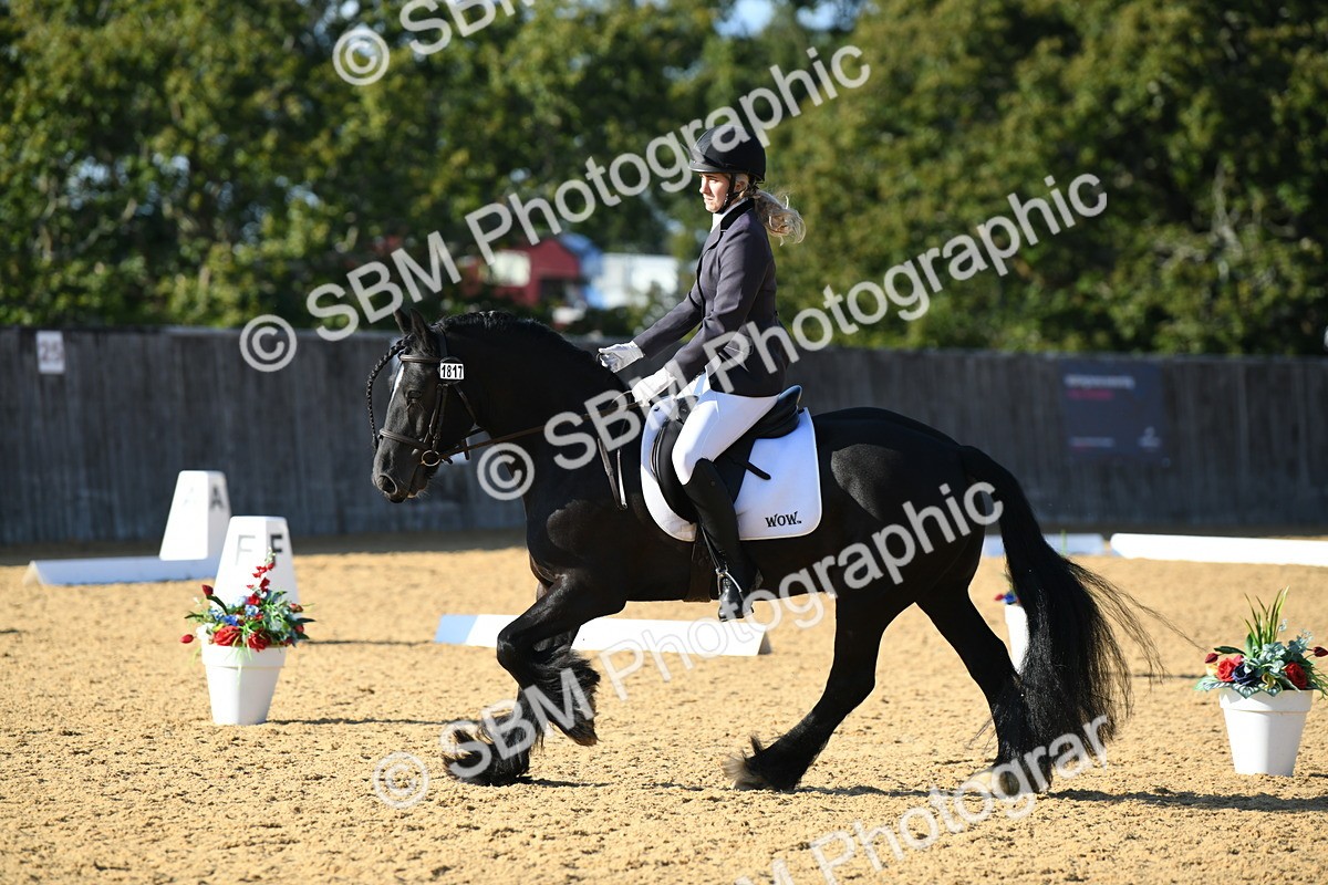 SBM_28464 - D16 - Small Tour Championship - Novice 28
