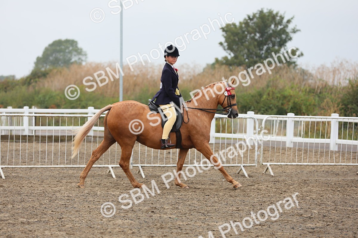 SBM_22304 - Class 807 - Young Rider 11 to 16 Yrs
