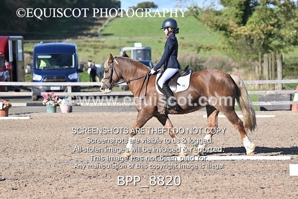BPP_8820 - SHORT ARENA